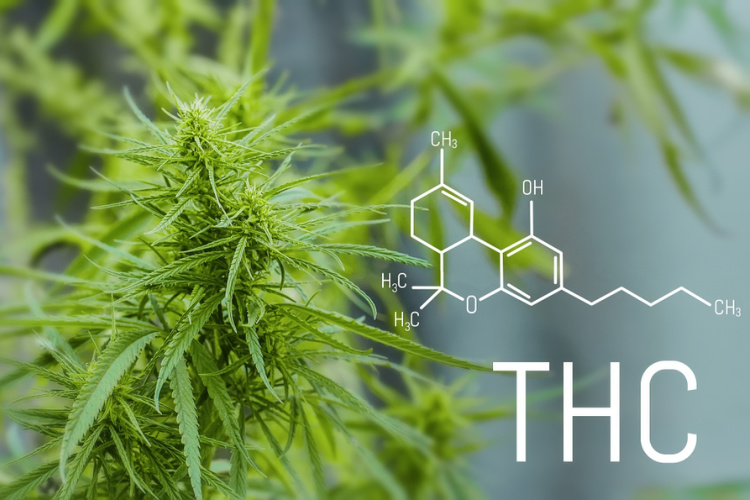 ce este THC tetrahidrocanabinol si diferenta CBD