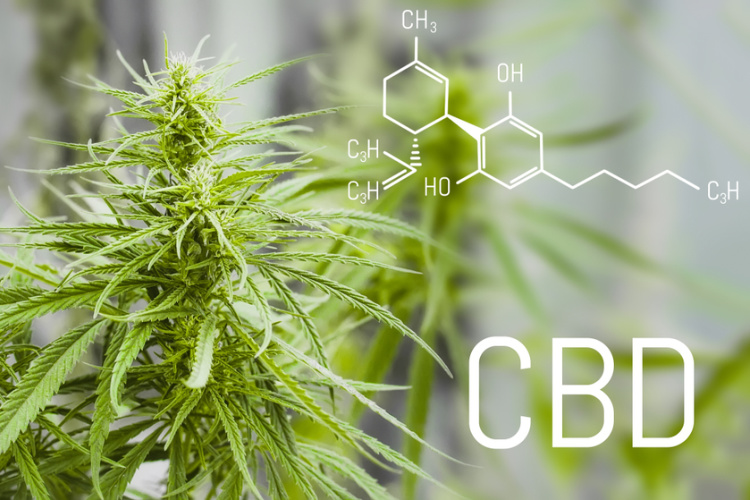 CBD este legal - diferenta dintre THC si cannabidiol