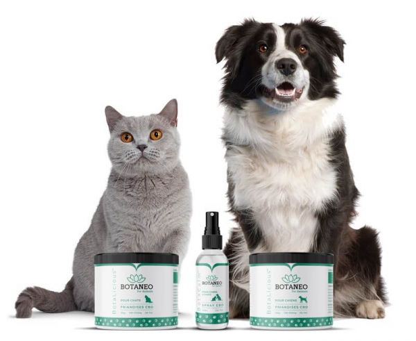 BotaCalm™ - Spray CBD pentru animale de companie - Organic, 100% Natural - Testat si acreditat de catre Fundacion Canna [4]