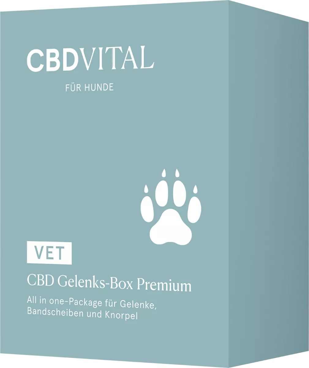 VET CBD Joint Box: Ulei Canabis si Complex  Natural Articular, pt. Caini [2]