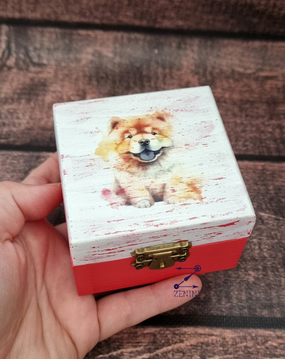 Cutiuta colorata cu catel, diverse modele [4]