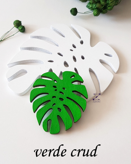 Brosa frunza Monstera [5]