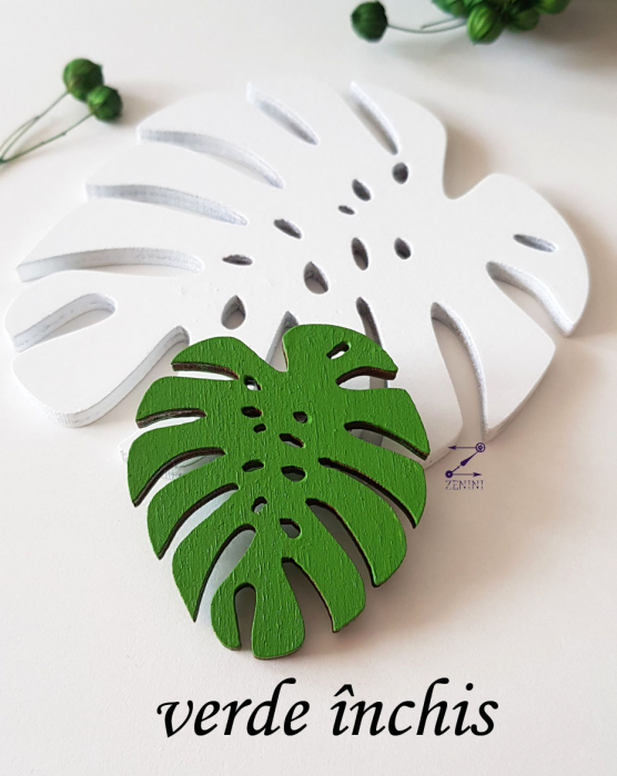Brosa frunza Monstera [3]