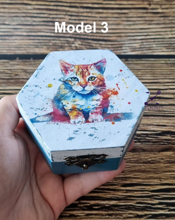 Cutiuta colorata cu pisica, diverse modele [4]