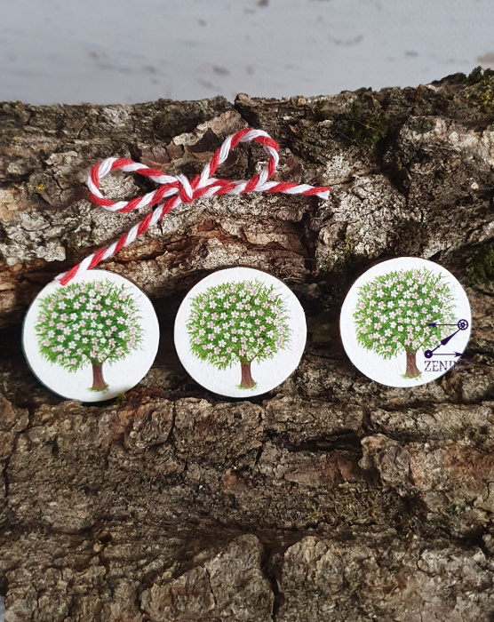 Martisor copac inflorit [3]