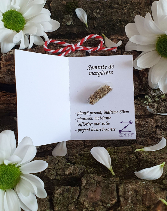 Martisor plantabil seminte de margarete [4]