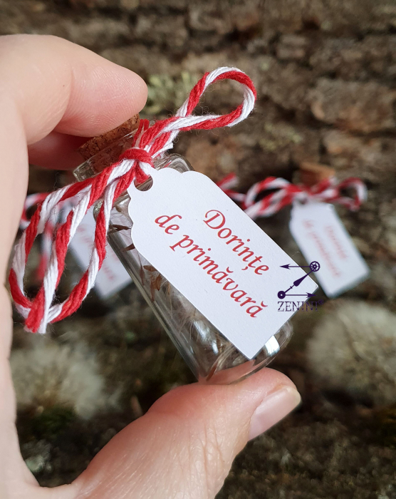 Martisor sticluta cu puf de papadie [3]