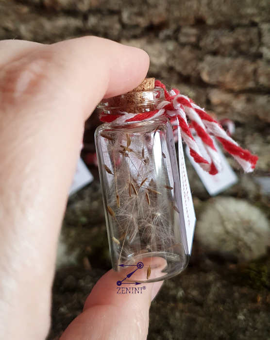 Martisor sticluta cu puf de papadie [2]