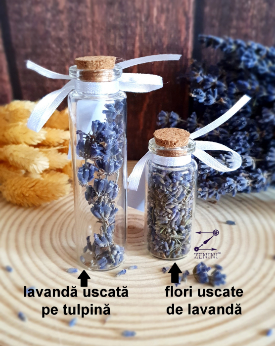 Marturii botez sticluta lavanda [4]