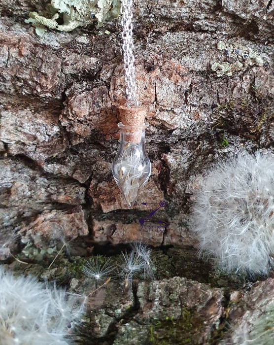 Sticluta medalion cu puf de papadie [2]