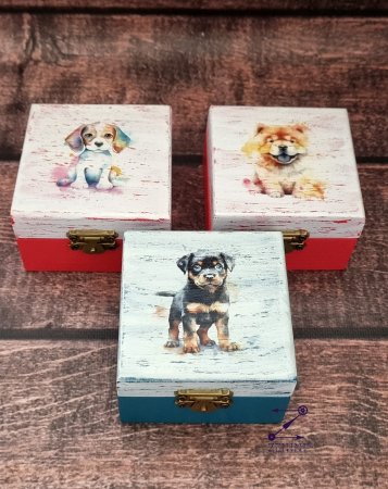 Cutii bijuterii - Cutiuta colorata cu catel, diverse modele