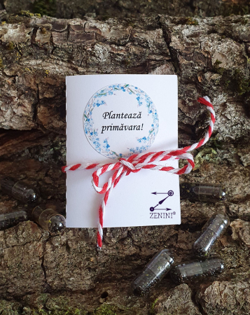 Martisor plantabil seminte de nu ma uita
