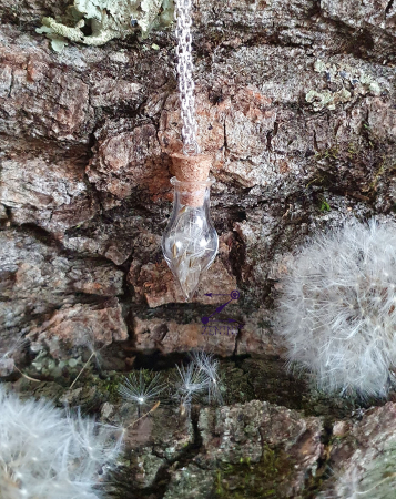 Sticluta medalion cu puf de papadie [1]