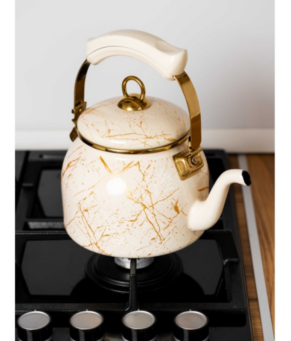 Ceainic emailat, 2.5 litri, compatibil cu toate sursele de caldura, maner termorezistent, Goldmann, bej [4]