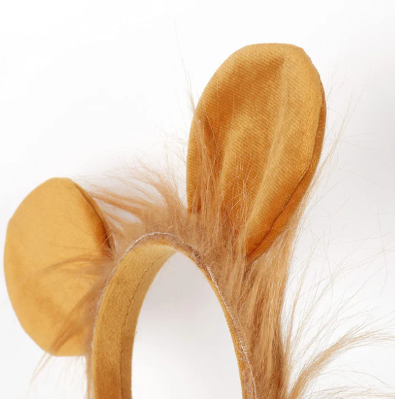 Costum de leu pentru copii, [5]