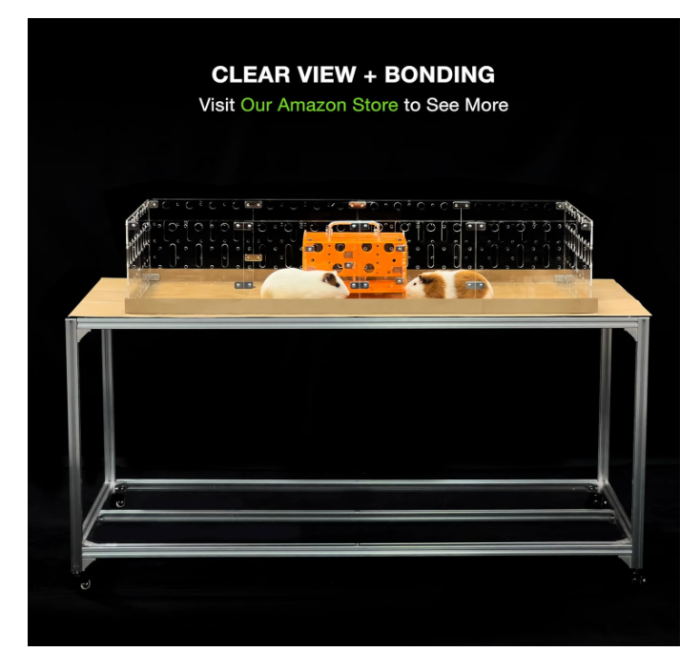 Cusca spatioasa pentru porcusori de Guineea si animale mici, habitat modern acrilic, 60 x 120 cm. [3]