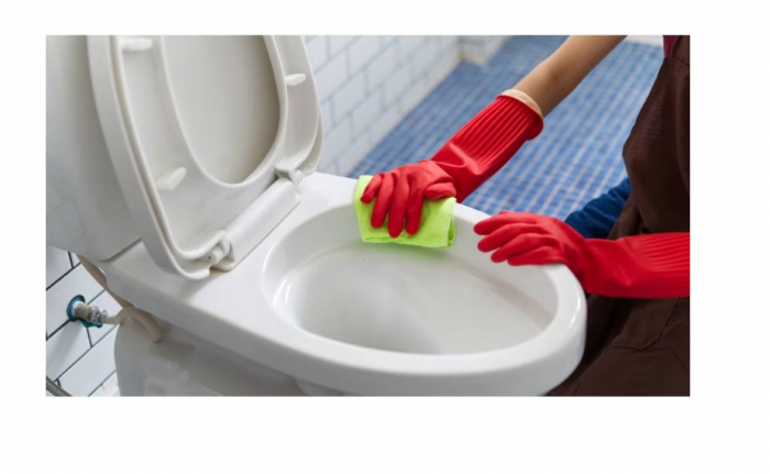 Detartrant toaleta forte Dr. Stephan Wc Power 5l, 90015540 [5]