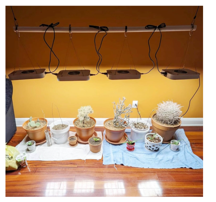 Lampa LED horticola 65W, dimabila, full spectrum, 576 LED-uri cu UV & IR, pentru cort 60x60 cm, indoor grow, cu functia Daisy Chain [2]