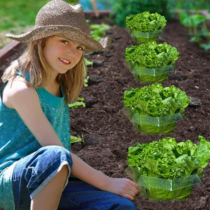 Set 20 inele protectie melci Sunshine Smile, coliere plastic pentru plante de gradina [6]