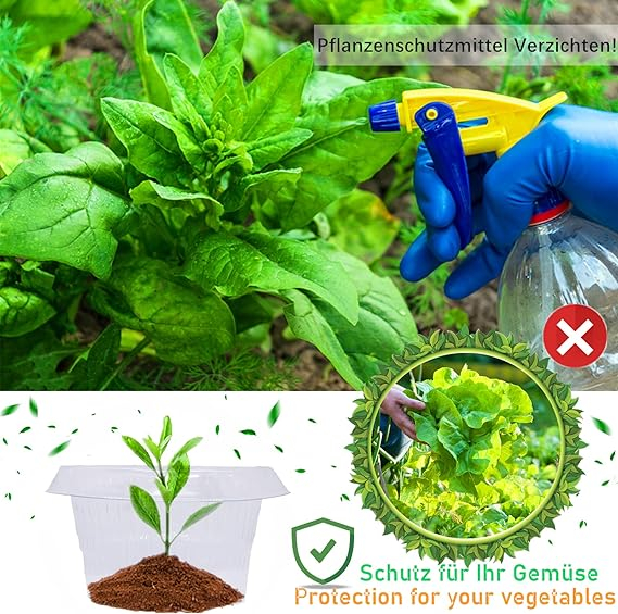 Set 25 bucati + 25 plase, inele transparente anti-lumaca, protectie pentru salata si varza, coliere impotriva melcilor si altor daunatori [3]