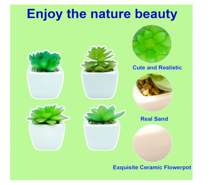 Plante suculente artificiale cu ghiveci, 4 bucăți Mini plante [4]