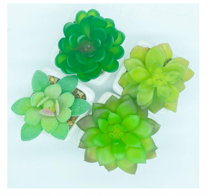 Plante suculente artificiale cu ghiveci, 4 bucăți Mini plante [2]