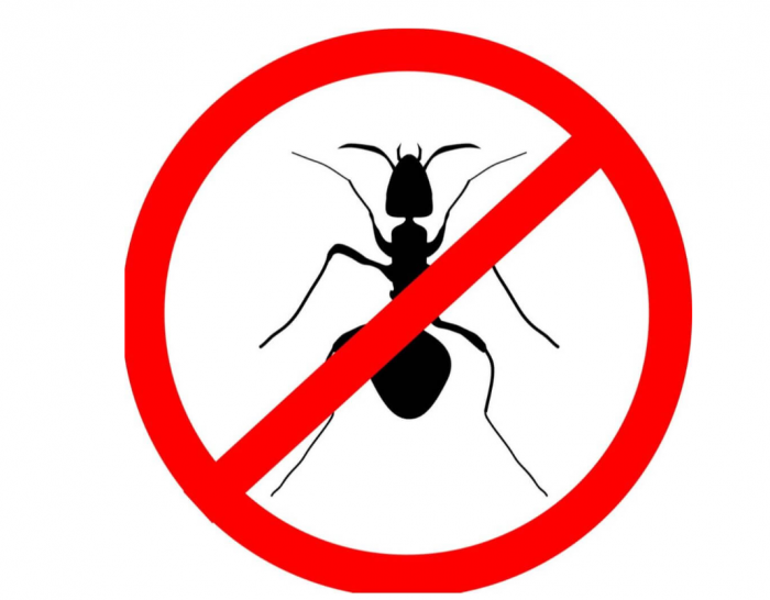 Spray Anti Insecte Raid Max 3 In 1, 400 Ml, Insecticid, Ideal Pentru Gandaci Si Furnici [2]