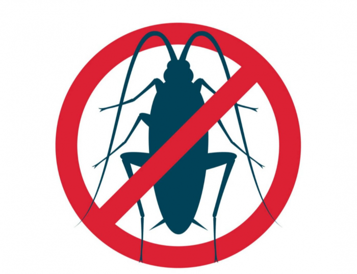 Spray Anti Insecte Raid Max 3 In 1, 400 Ml, Insecticid, Ideal Pentru Gandaci Si Furnici [3]