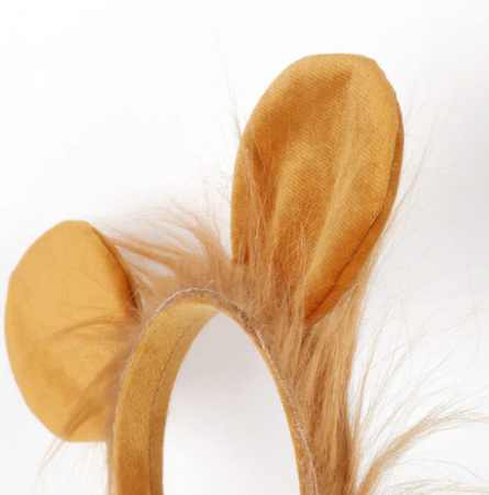 Costum de leu pentru copii, [4]