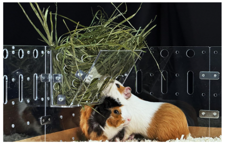 Lichidare Stoc - Hranitoare pentru fan GuineaLoft, Stația de hranire optima pentru animale mici, cum ar fi cobai, iepuri și chinchilla