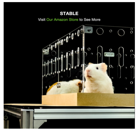 Cusca spatioasa pentru porcusori de Guineea si animale mici, habitat modern acrilic, 60 x 120 cm. [3]