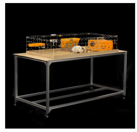 Lichidare Stoc - Cusca spatioasa pentru porcusori de Guineea si animale mici, habitat modern acrilic, 60 x 120 cm.