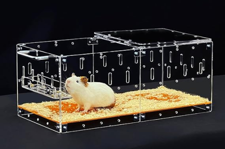 Jucarii - Cusca acrilica, 60 x 30 cm, cu capac si baza, pentru un porcusor de guinea sau hamster, extensibila.