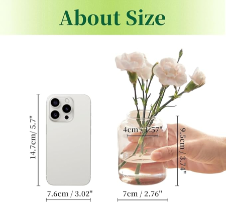 Set de 6 mini vaze mici din sticlă Ddecorative Vintage [1]