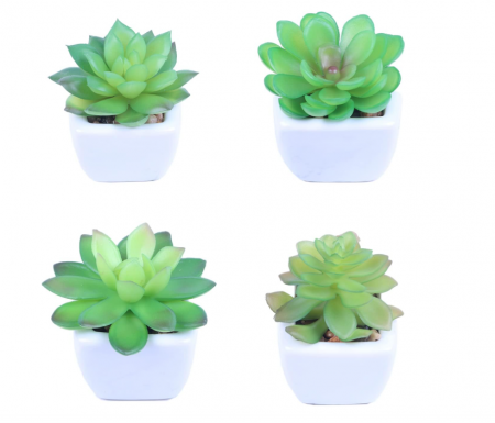 Textile & Decoratiuni - Plante suculente artificiale cu ghiveci, 4 bucăți Mini plante