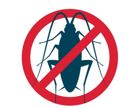 Spray Anti Insecte Raid Max 3 In 1, 400 Ml, Insecticid, Ideal Pentru Gandaci Si Furnici [2]