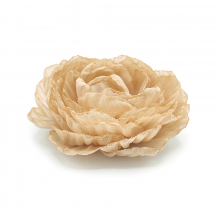 Brose - brosa-floare-bujor-bej-voal