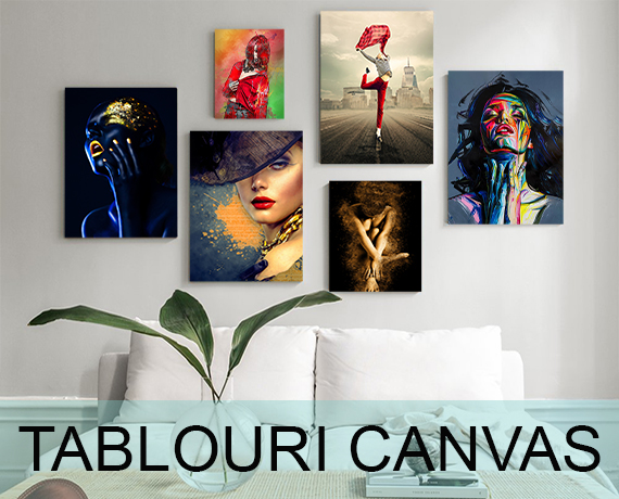 Tablouri Canvas