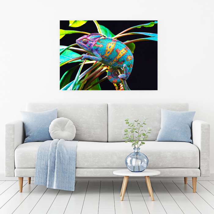 Tablou Canvas - Yemen Cameleon [2]