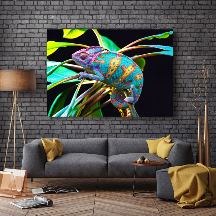 Tablou Canvas - Yemen Cameleon [3]