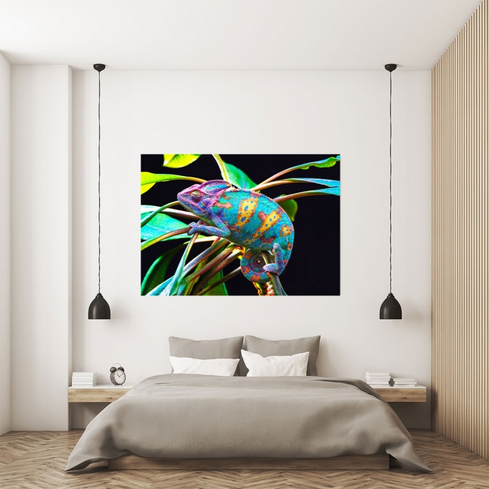 Tablou Canvas - Yemen Cameleon [4]