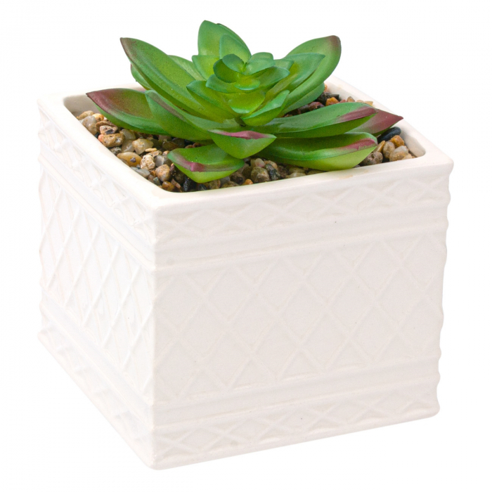 Ghiveci din ceramică cu floare ornamentală [2]