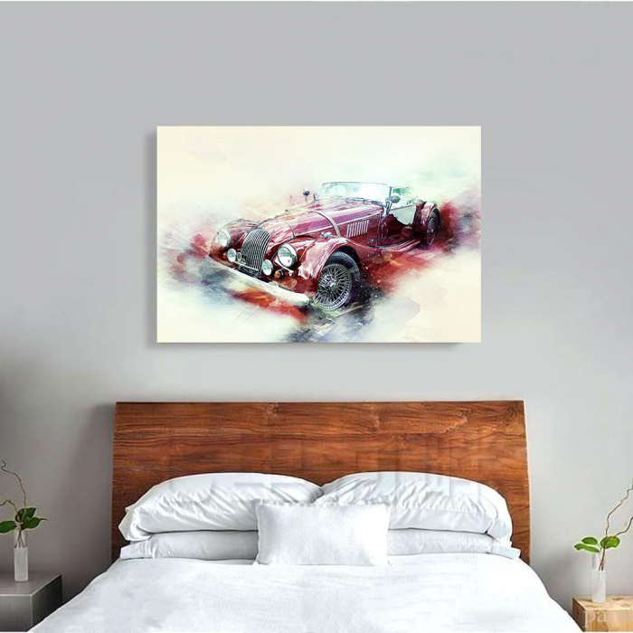 Tablou Canvas - Austin Car [3]