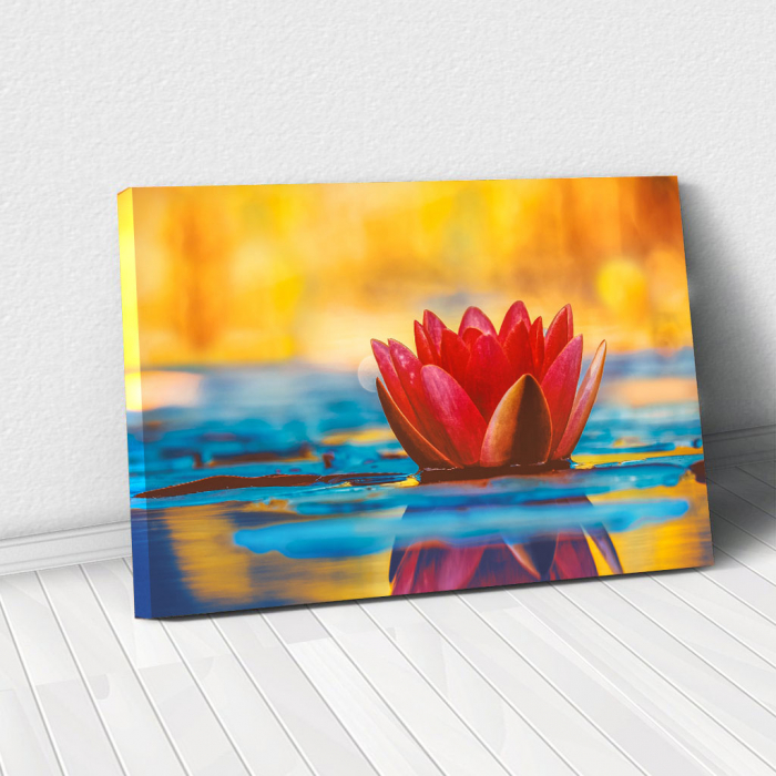 Tablou Canvas - Nufar [4]