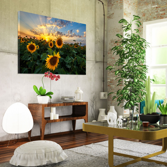 Tablou Canvas - Apus peste Floarea Soarelui [2]