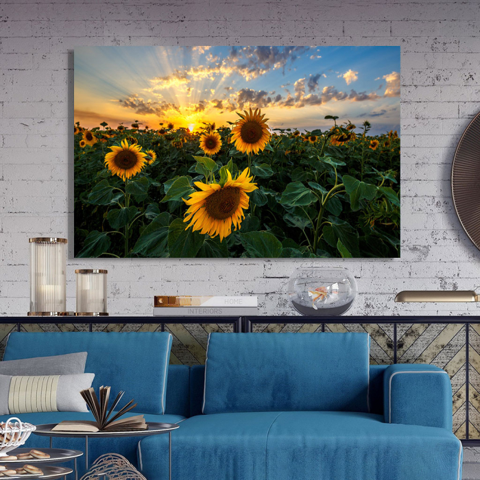Tablou Canvas - Apus peste Floarea Soarelui [3]