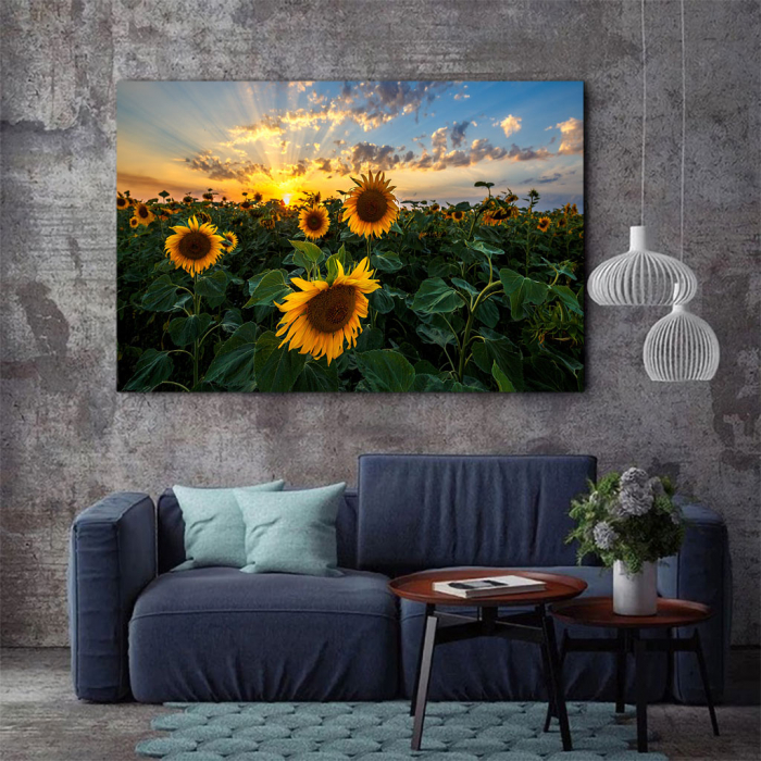 Tablou Canvas - Apus peste Floarea Soarelui [4]