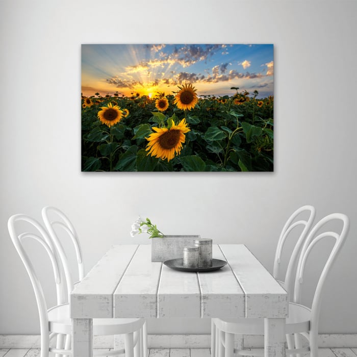 Tablou Canvas - Apus peste Floarea Soarelui [5]