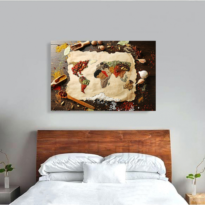 Tablou Canvas - Spices world map [3]