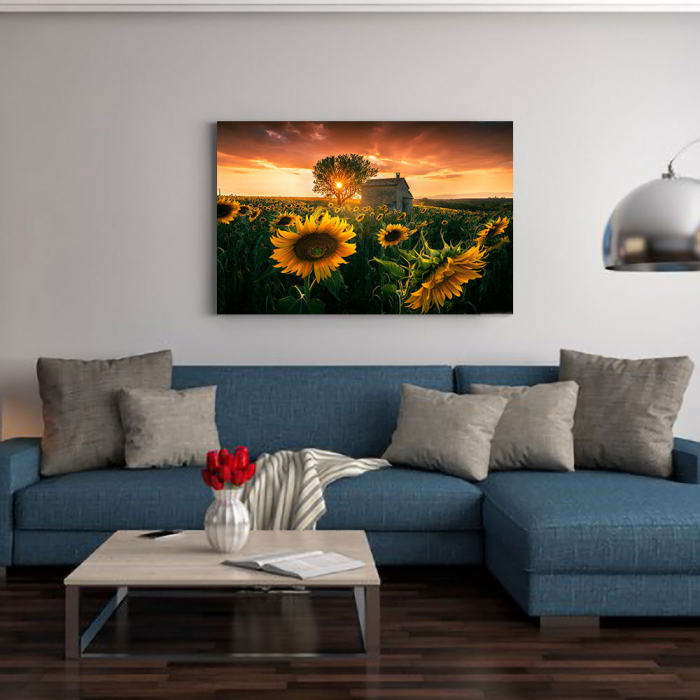 Tablou Canvas - Floarea Soarelui [2]